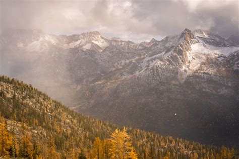 The Best Golden Larch Hiking Trails In Washington State - Jess Wandering