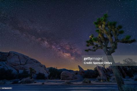 Joshua Tree Night Sky High-Res Stock Photo - Getty Images