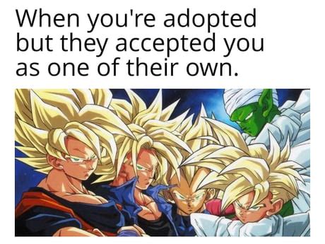 Best Funny dbza Memes - 9GAG