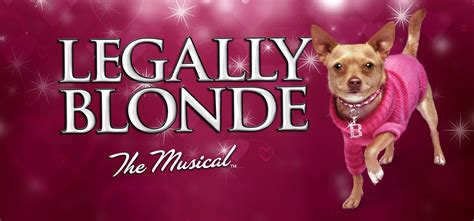 Legally Blonde The Musical | Music Theatre International