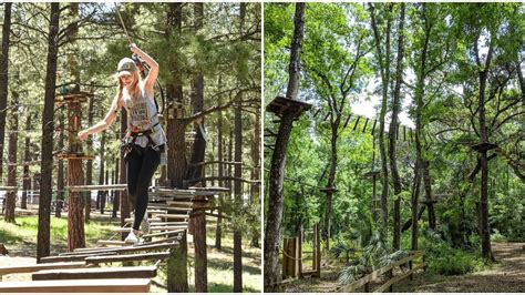 Zipline Obstacle Course Near Tampa Walks You Through The Trees - Narcity