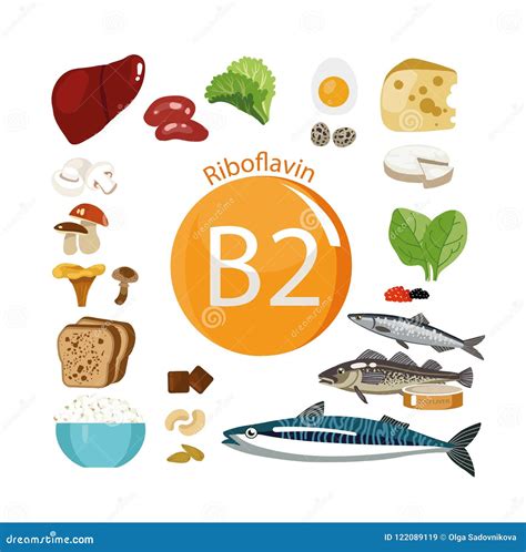 Vitamin B2 Riboflavin: Natural Organic Products With Vector ...