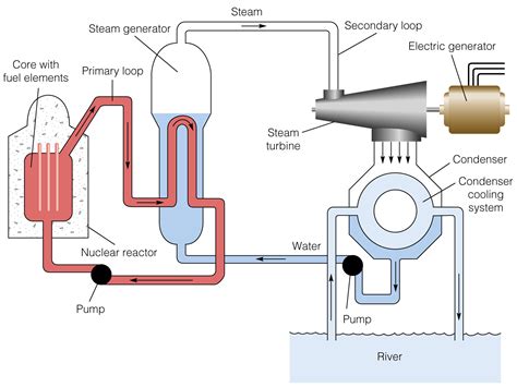 Nuclear Reactor Labeled Diagram