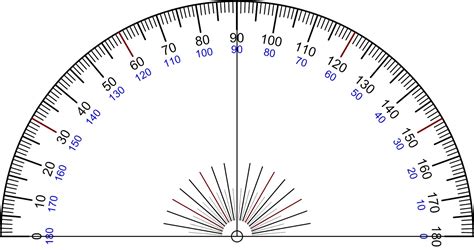 Sunnyland 4th Grade!: Use a Protractor