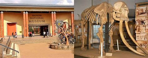 Nairobi national museum - Attractions in nairobi, kenya safaris