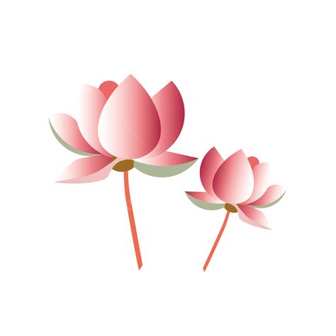 Pink Lotus Vector, Lotus, Lotus Flower, Summer Lotus PNG and Vector ...