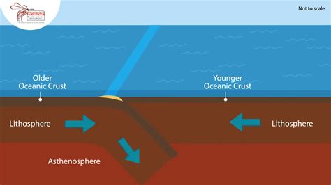 Convergence (oceanic crust) - YouTube