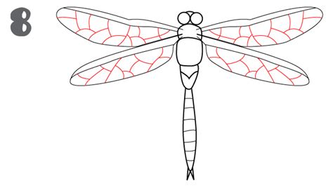 How To Draw a Dragonfly - EASY Drawing Tutorial!