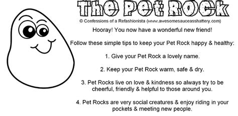 DIY Pet Rock Party Favors - Confessions of a Refashionista