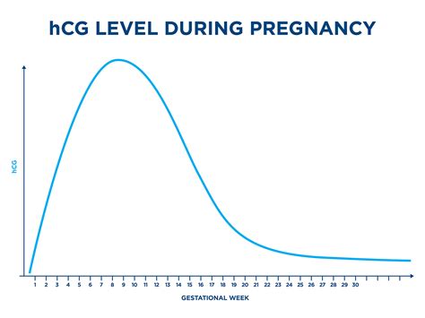 hCG levels: all you need to know - Clearblue