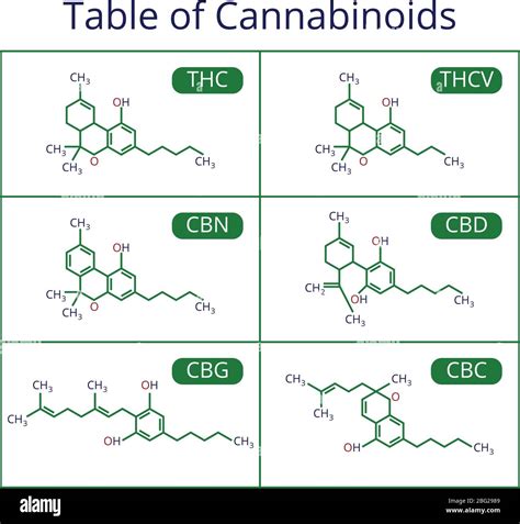 Molecule skeletal structure Cut Out Stock Images & Pictures - Alamy