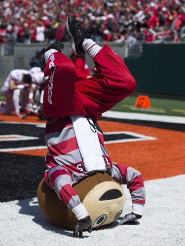 The Ohio State University mascot Brutus. | Everything Ohio State Buck…