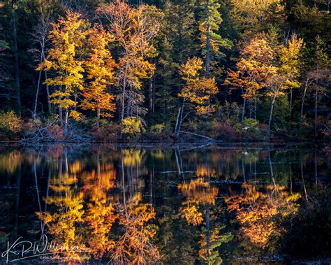 Fall Color in the White Mountains - Cape Ann Photo Tours