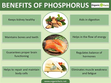 10 Amazing Benefits of Phosphorus | Organic Facts | Phosphorus, Healthy ...