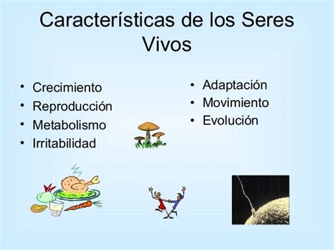 Las 8 Caracteristicas De Los Seres Vivos