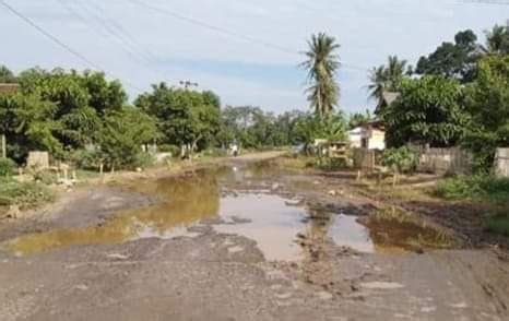 20 Tahun Lampung Timur, Jalan Rusak Parah -wawainews.id