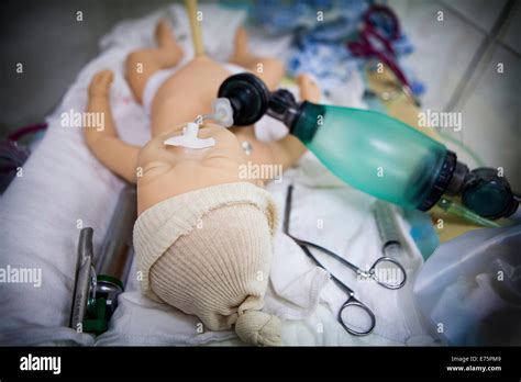 Manikin simulation Stock Photo, Royalty Free Image: 73271641 - Alamy