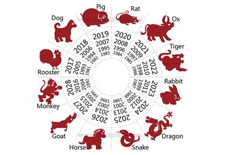 Chinese zodiac chart. : r/coolguides