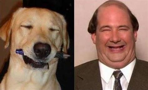 Pictures of When Dogs and Celebrities Look Alike