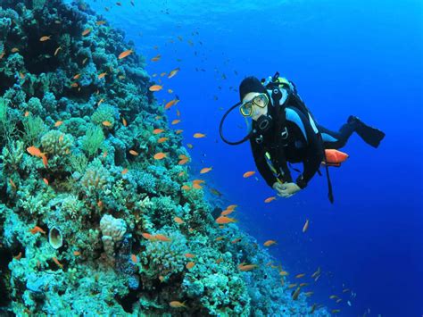 The best scuba diving spots in the world | Times of India Travel