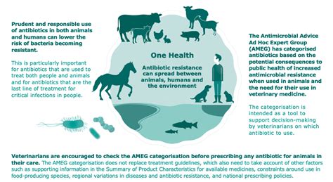 European Medicines Agency ranks animal antibiotics and appropriate ways ...