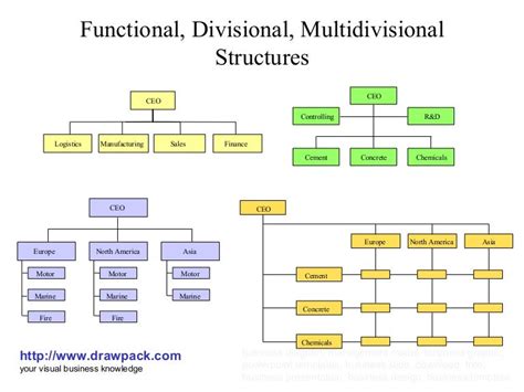 Functional, divisional, multidivisional structures