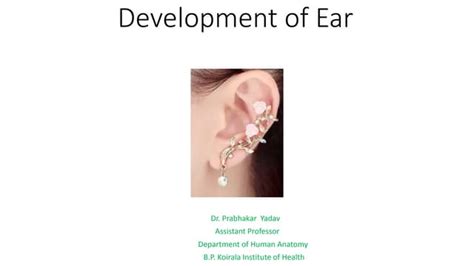 Development of ear | PPT