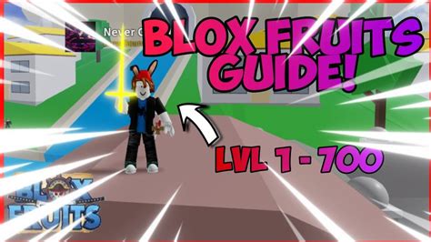 Blox fruits level guide