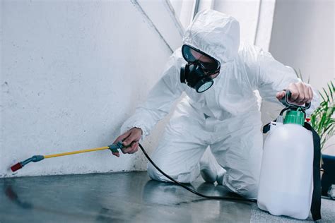 8 Reasons Why You Need Pest Control Services - 2020 Guide - InSerbia News