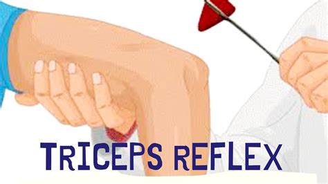 Triceps Deep Tendon Reflex | Deep Tendon Reflexes - YouTube