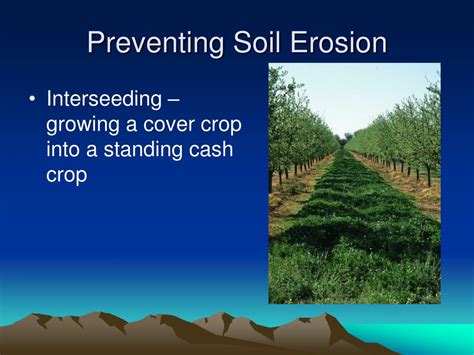 PPT - Preventing Soil Erosion PowerPoint Presentation, free download ...