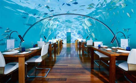 Underwater Restaurant in Maldives : r/pics