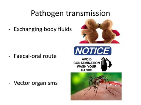 PPT - Transmission and control of infectious diseases PowerPoint ...