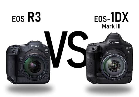 EOS R3 vs EOS-1D X Mark III: How to Decide?