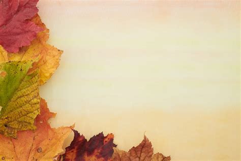 Fall Harvest Background Royalty Free Photo