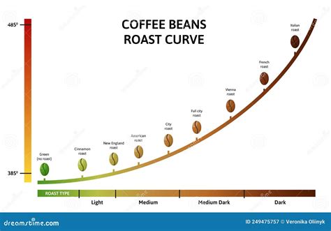 Coffee Roasting Levels. Roast Curve, Optimal Temperature for Roasting ...