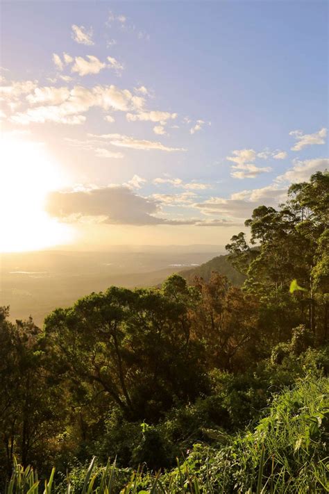 Tamborine Mountain | Tamborine mountain, Scenic, Rainforest