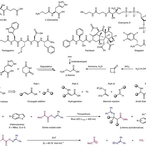 Photochemical single-step synthesis of β-amino acid derivatives from ...