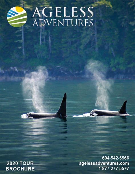 St. Lawrence Seaway Cruise 2020 - Ageless Adventure Tours