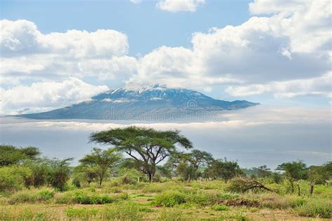 Pictures of the Snow-covered Kilimanjaro in Kenya Stock Image - Image ...