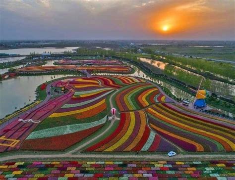 PsBattle: tulip fields in The Netherlands : photoshopbattles