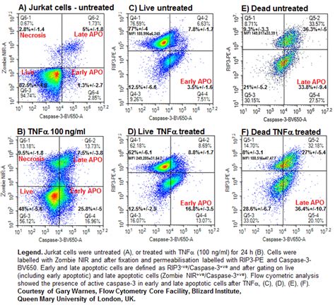 Caspase activity and Apoptosis - Flow Cytometry Core Facility