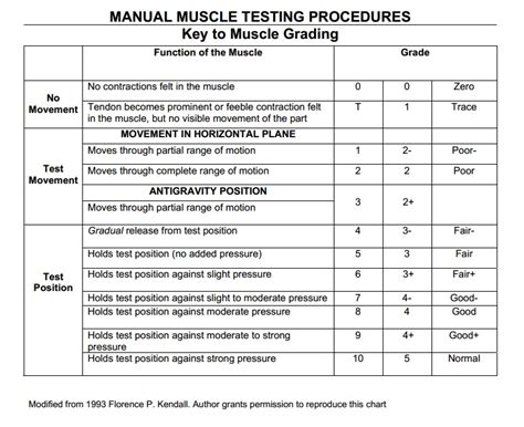 Muscle Strength Testing and Manual Muscle Grades ...