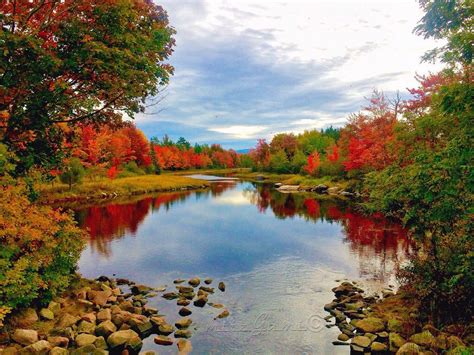 Lovely Fall at Acadia National Park, Bar Harbor Maine. | Autumn scenery ...