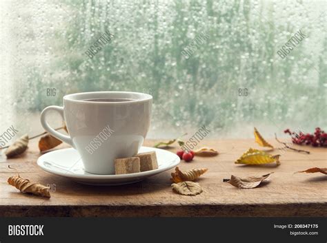 Autumn. Cup Coffee Image & Photo (Free Trial) | Bigstock