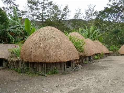 Honai, traditional House Papua | Unique, Exotic, Funny and More