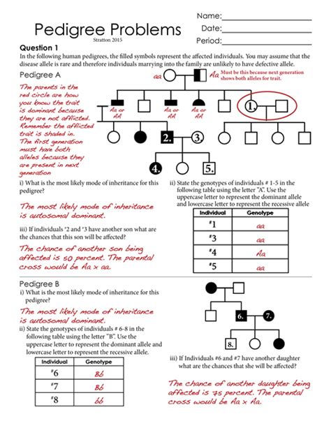 20++ Pedigree Practice Worksheet Answers – Worksheets Decoomo