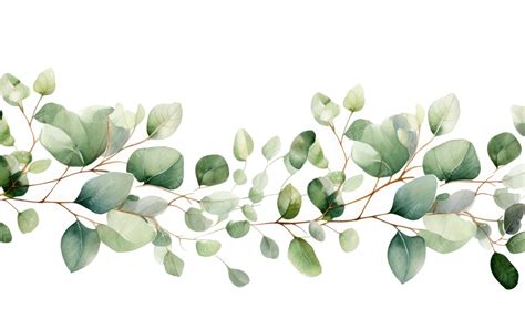 Premium AI Image | Watercolor Eucalyptus Leaves Border