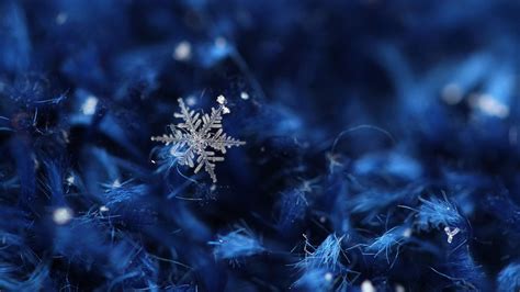 Ice Crystals 4k Wallpaper