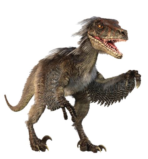 Learn about the Velociraptor, one of Jurassic World's main dinosaurs ...